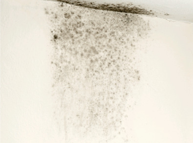 강진 주택 아파트 공장 결로검사 결로공사 시공업체