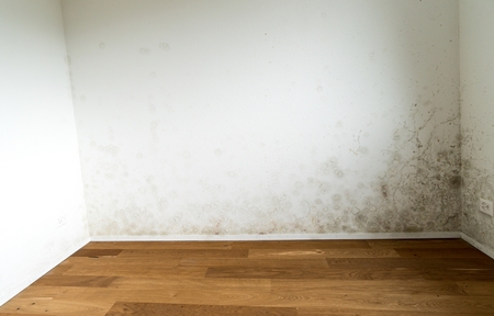 강진 주택 아파트 공장 결로검사 결로공사 시공업체M